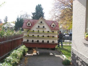 birdhouse (3)